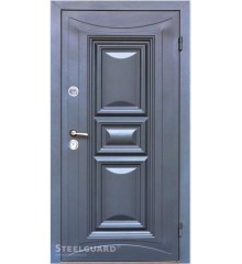 Двери Termoskin-light 7016 Входные двери