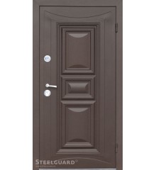 Двери Termoskin-light 8019 Металлические